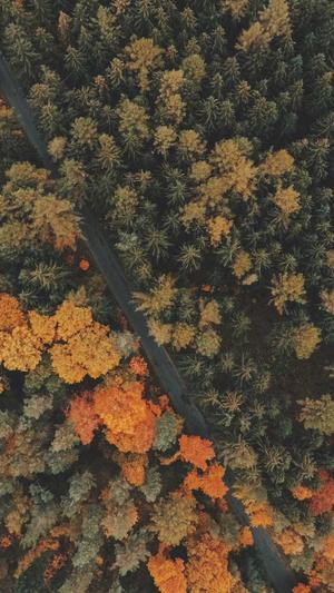 不打烊黑料截图3