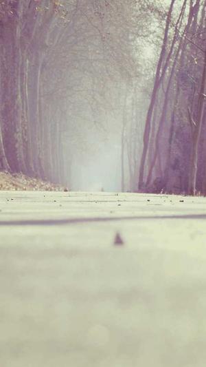 直播算命太准全网蹲守吃瓜截图3