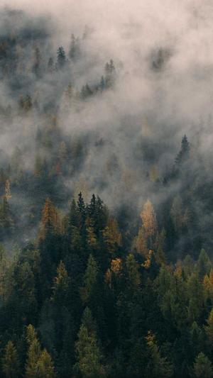 黑料不打烊资源截图4