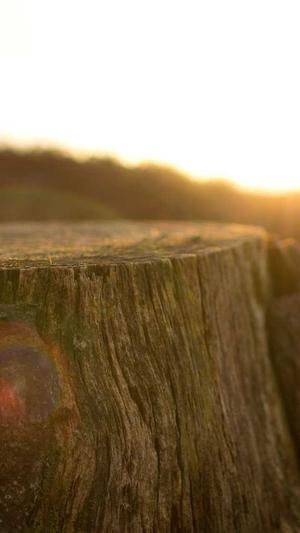 51吃瓜网 - 免费吃瓜截图2