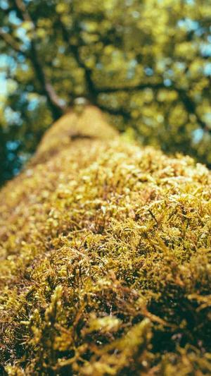 51吃瓜今日吃瓜首页截图1