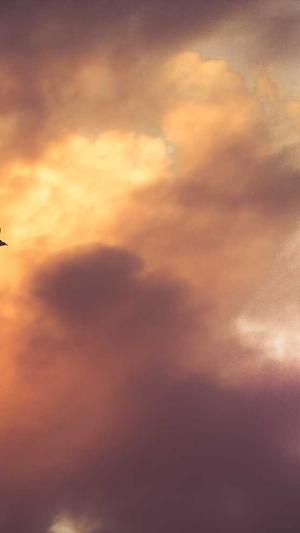 17c吃瓜网 -免费吃瓜截图4