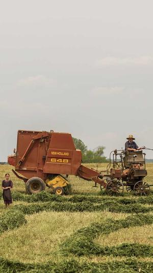 黑料正能量和黑料不打烊截图2