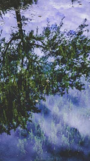 瓜太郎吃瓜网截图1