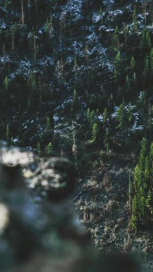 潘长江黑料截图1