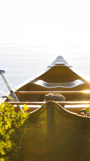 黑料爆料网站截图1