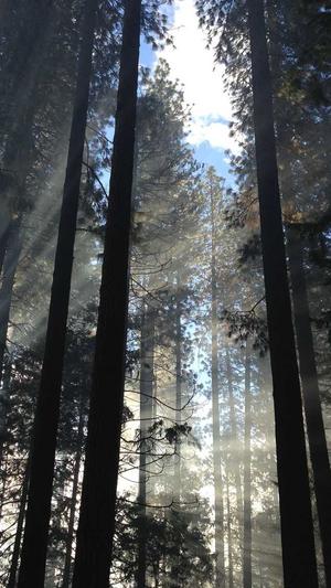 lpl女解说鼓鼓黑料截图2