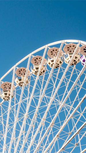 91黑料正能量APP截图3