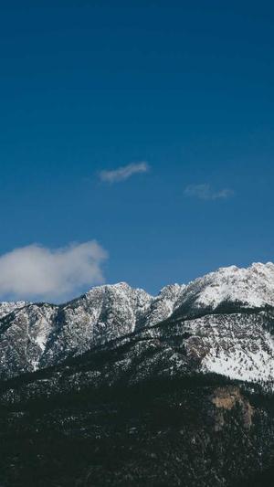 减肥期间可以吃哈密瓜吗截图2