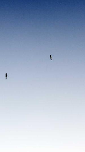 吃瓜的公众号推荐截图4