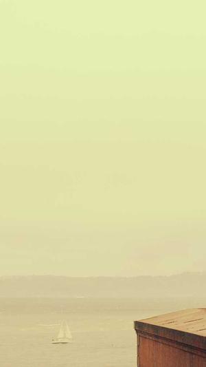 亨斯迈聚氨酯黑料截图2