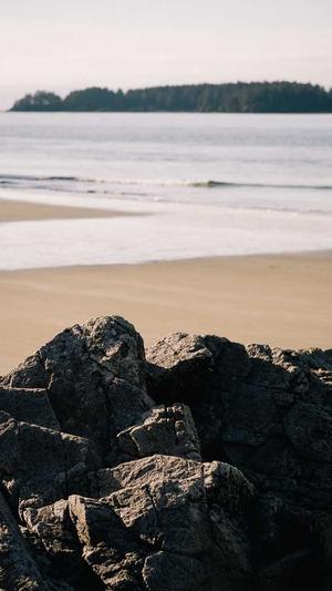 怀孕吃哈密瓜截图4