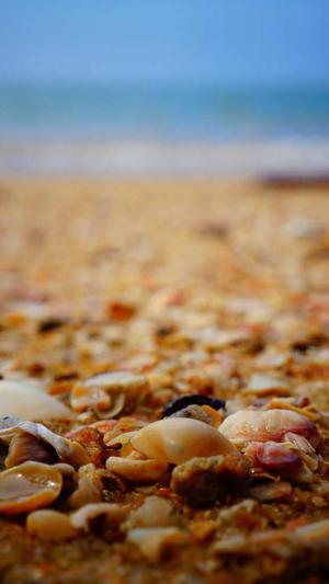 17c吃瓜网 -免费吃瓜截图2