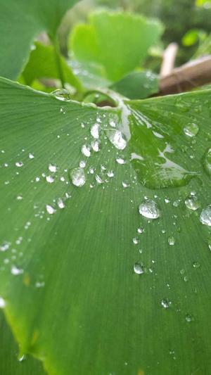 黑料不打烊官网首页截图3