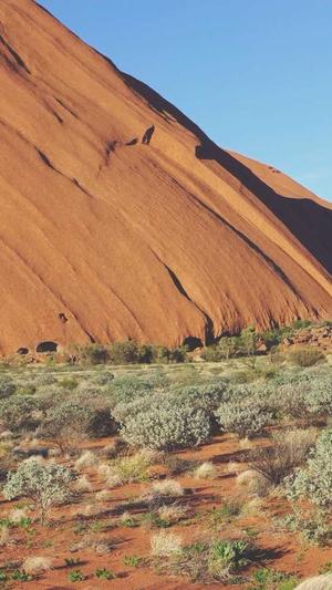 吃瓜爆料群免费进最新截图5