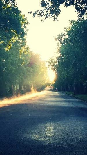 吃哈密瓜的好处与坏处截图5