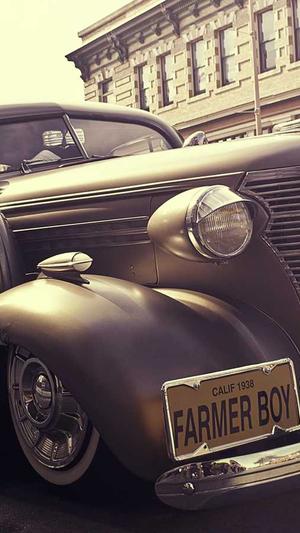 有瓜石斛孕妇可以吃吗截图3