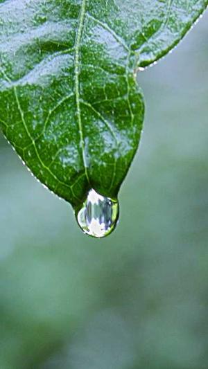 51吃瓜网最新官网地址截图3