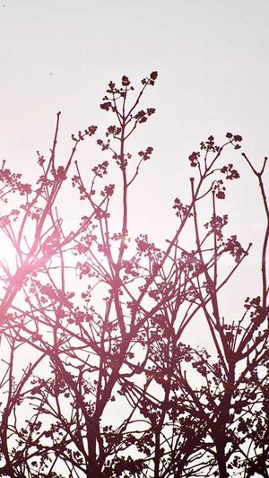 海角吃瓜黑料截图3