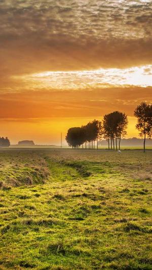 程以南黑料截图1