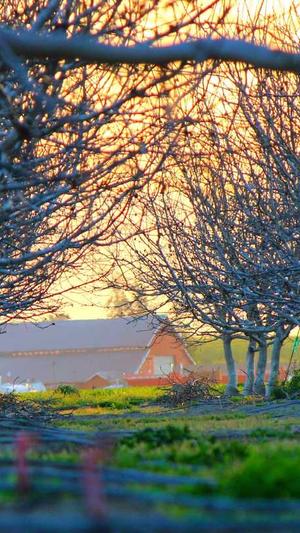 蔡徐坤黑料图库截图4