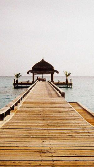 自由吃瓜基地小组 豆瓣截图2