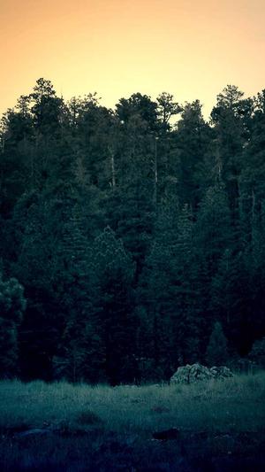 qq免费吃瓜群二维码2023截图2