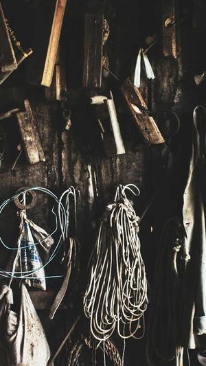 白瓜孕妇可以吃吗截图2