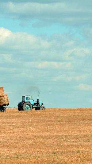 奎瓜怎么吃截图4