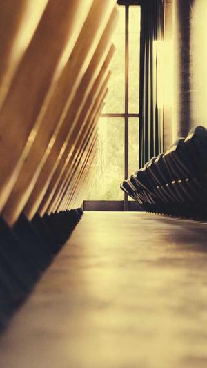 孕妇吃哈密瓜截图3