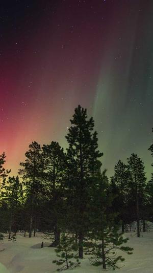 黑料不打烊备用网址截图5