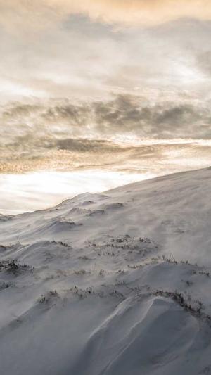 屈楚萧黑料是什么意思截图1