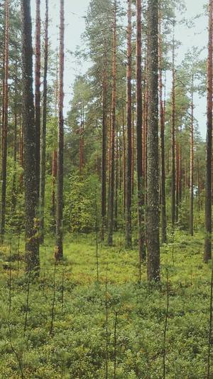 今日吃瓜网截图3