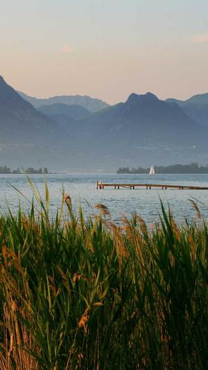 佳多饱最新吃瓜爆料网站截图2