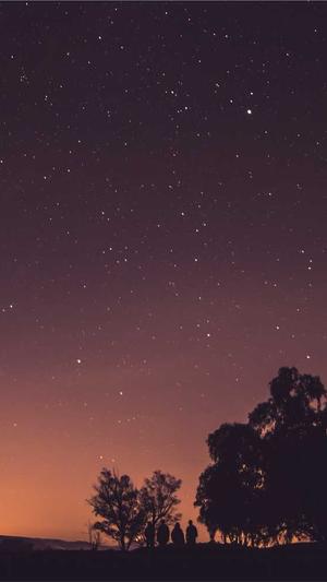 晚上吃哈密瓜截图2