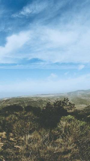 毕雯珺黑料截图1