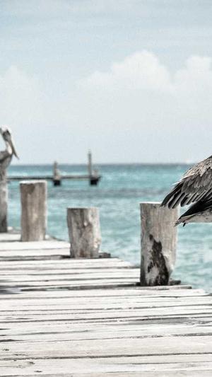 吃瓜曝光黑料不打烊截图3