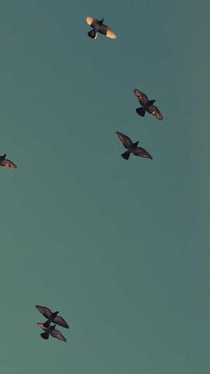 17c吃瓜黑料截图1