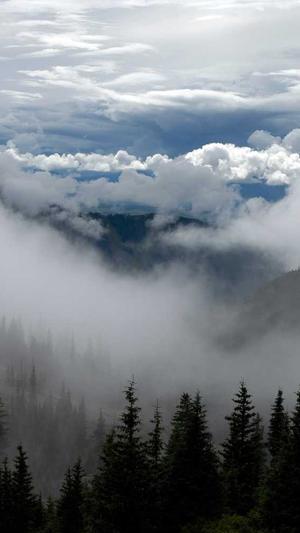 程以南黑料截图5