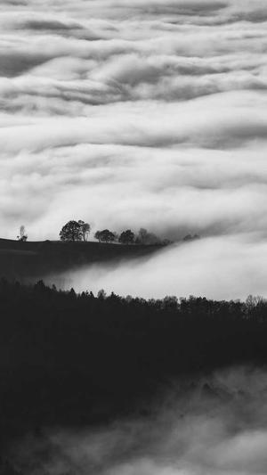 佛手瓜怎样吃截图4