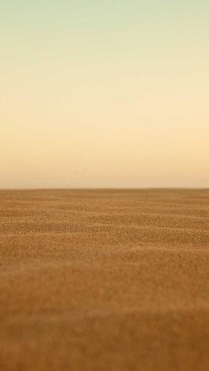 51吃瓜张津瑜截图2