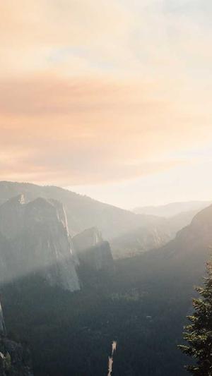 黑料:不打烊截图2