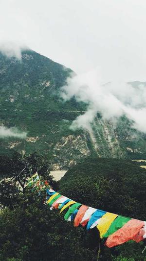 怀孕初期可以吃哈密瓜吗截图4